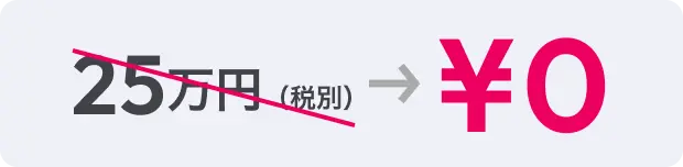 アドバイザリー支援価格